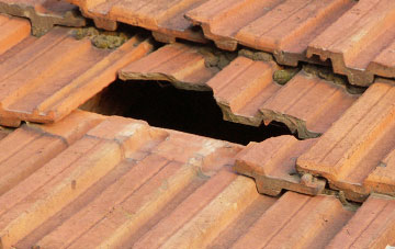 roof repair Lower Dinchope, Shropshire